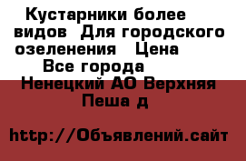 Кустарники более 100 видов. Для городского озеленения › Цена ­ 70 - Все города  »    . Ненецкий АО,Верхняя Пеша д.